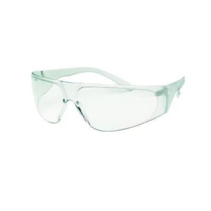 SS/10 Safety Spectacles