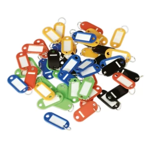 50 Assorted Key Tags