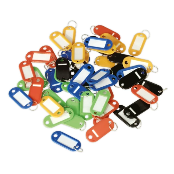 50 Assorted Key Tags